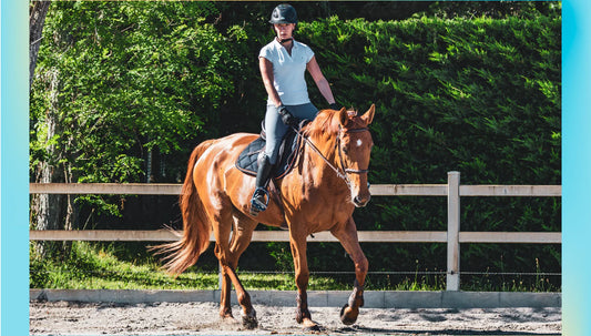 Here's How to Resume Training with Your Horse After a Break
