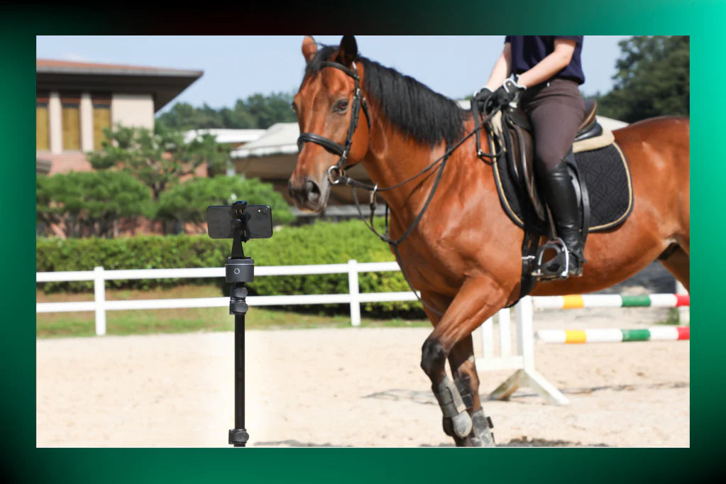 Safety Awareness — Tack and Pre-Riding Care
