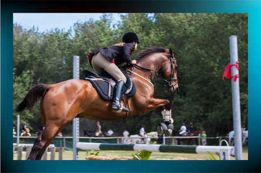 Show Jumping Mechanics - Part 4