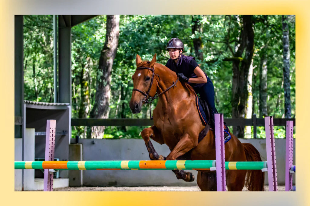 Everything You Need to Know about Show Jumping Gymnastics - Part 2