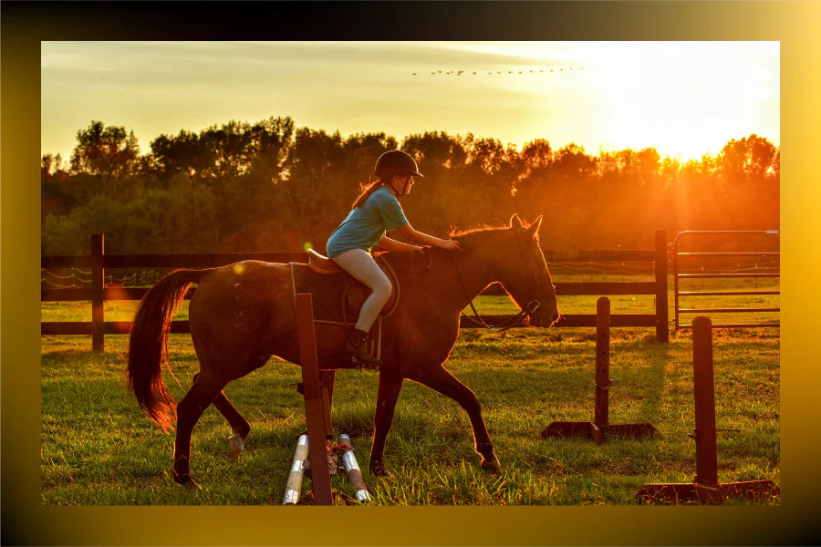 Pole Work for Enhancing Your Horse’s Movements