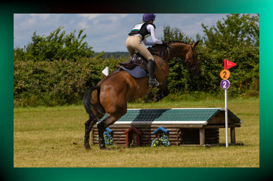 Riding Cross Country: A Beginner's Guide