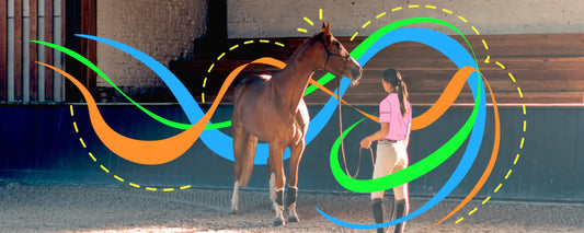 Essential Groundwork to Add to Your Horse Training