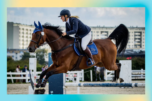 Equestrian Competition Videos: What to Watch Out For