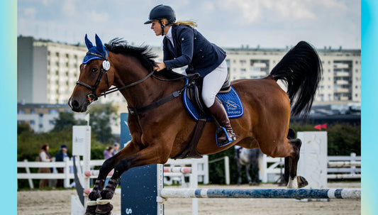Equestrian Competition Videos: What to Watch Out For