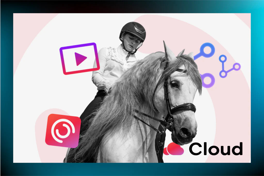 Your Guide to Pivo's New Innovative Features