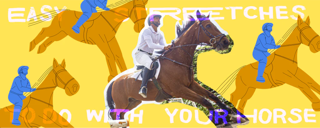 9 Easy Stretches to do with Your Horse