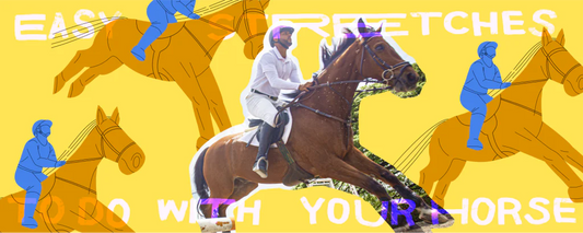 9 Easy Stretches to do with Your Horse