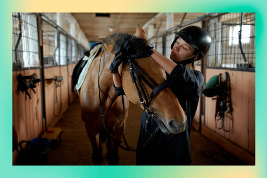 Equestrian Safety: The Importance of Helmets
