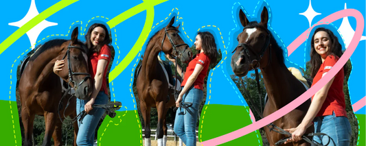 How to Make Horse Training Fun - For You and Your Horse