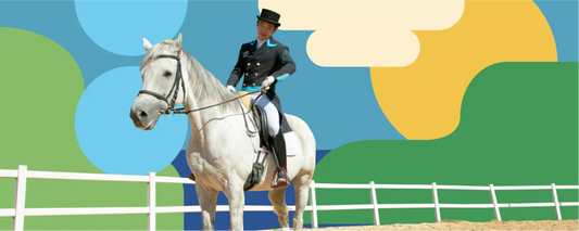 How to Teach Your Horse to Lead Efficiently