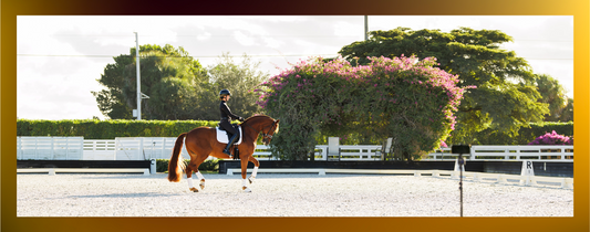 Why Riders Need More Than a Camera: The Smarter Equestrian Training Platform for Real Progress
