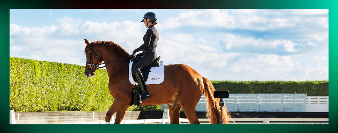Ride, Watch, Learn, Improve - By USEF