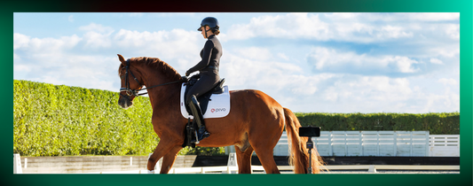 Ride, Watch, Learn, Improve - By USEF
