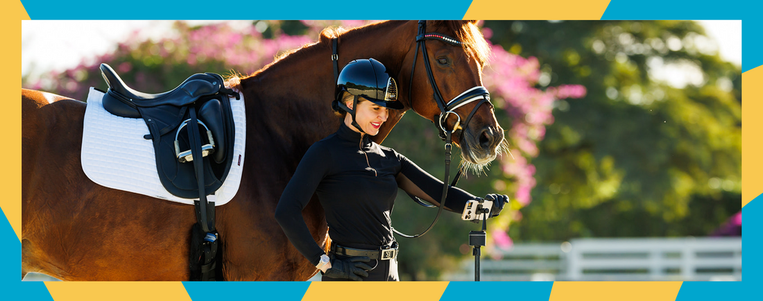 Pivo - A Must-Have Essential for Horse Riding Training and Lessons