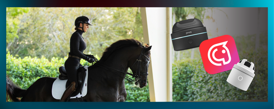 Which Pivo Is Right for Me? The Equestrian's Guide to Choosing Your Pivo Setup