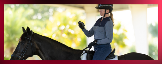 Introducing Pivo Arena: The New Home for Your Equestrian Training Journey