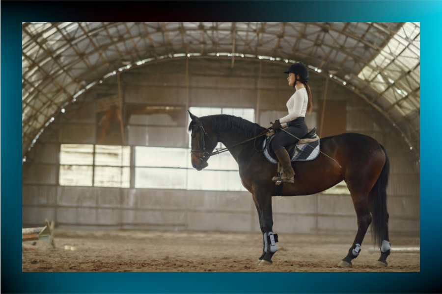 Dressage Tips For Beginners
