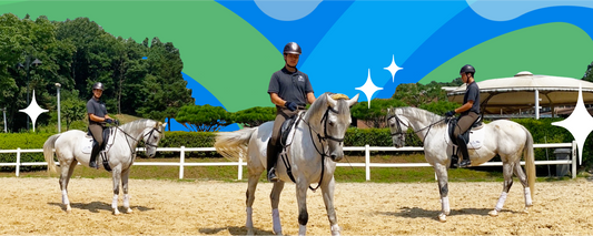 How to Bond with Your Horse While Living in the City