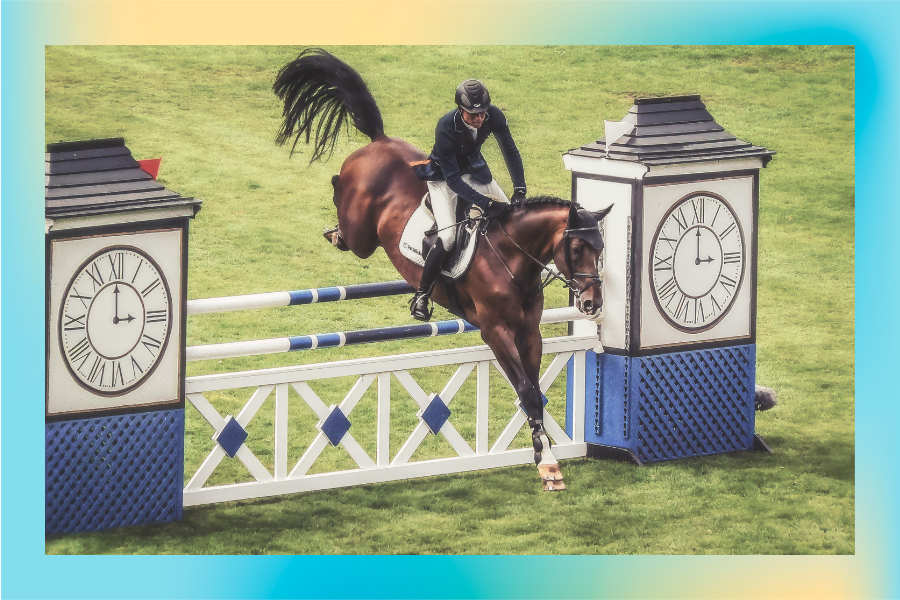 Everything You Need to Know about Show Jumping Gymnastics - Part 3