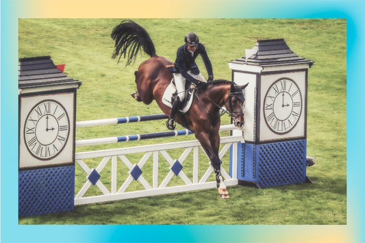 Everything You Need to Know about Show Jumping Gymnastics - Part 3