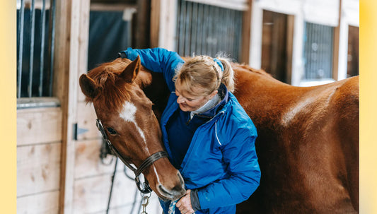 Restoring Confidence After Falling From Your Horse