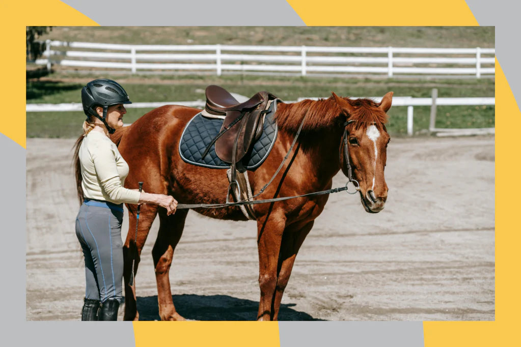 Tips to Start Training a New Horse
