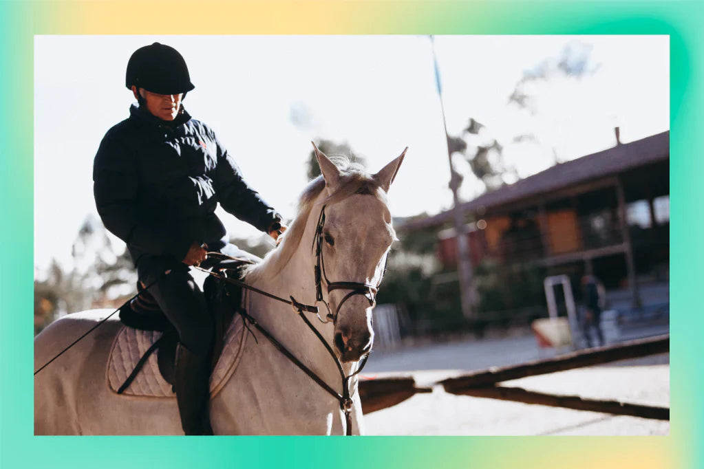 Lateral Work: Tips Suitable for All Horses