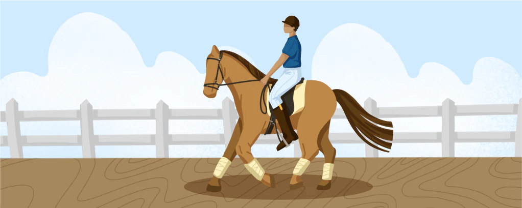 7 Horse Riding Exercises to Add Into Your Routine