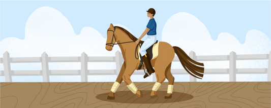 7 Horse Riding Exercises to Add Into Your Routine