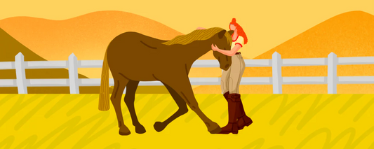 How to Use Positive Reinforcement to Train Your Horse
