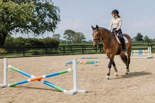 10 Creative Horse Jumps You Can Build With Few Rails