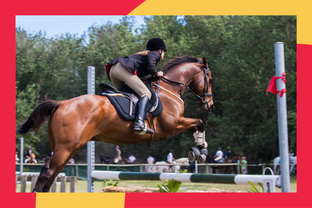 Course Riding Tips From a Professional Course Designer