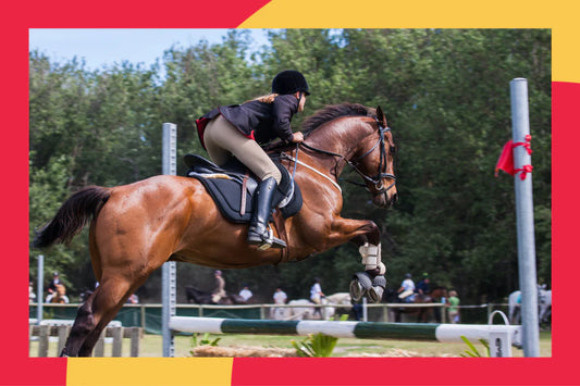 Course Riding Tips From a Professional Course Designer