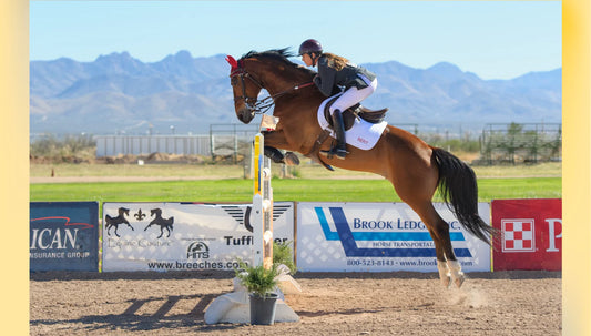Everything You Need to Know about Show Jumping Mechanics - Part 1