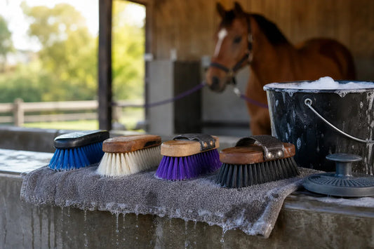 How to Clean Horse Brushes in 5 Easy Steps
