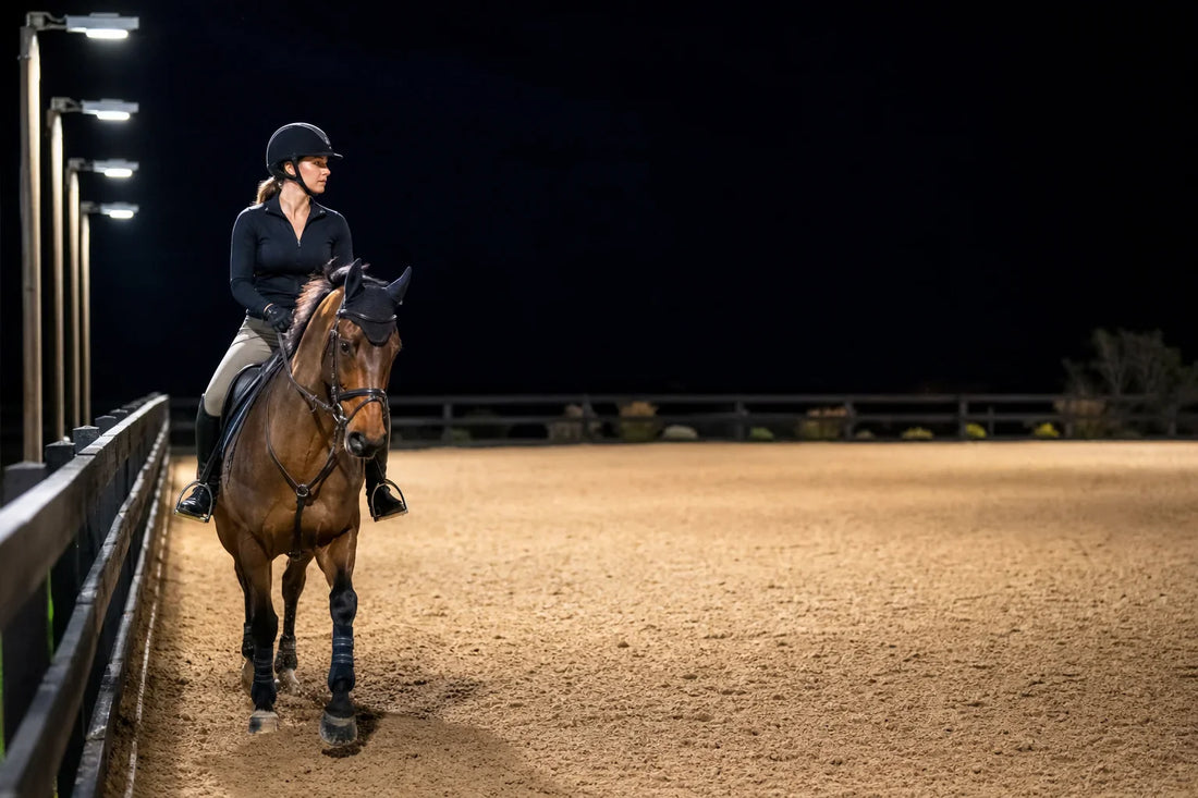 Horse Riding at Night: Lights, Safety & Time Tips