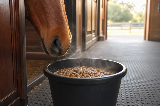 How to Build a Hitching Rail for Horses (About $50)