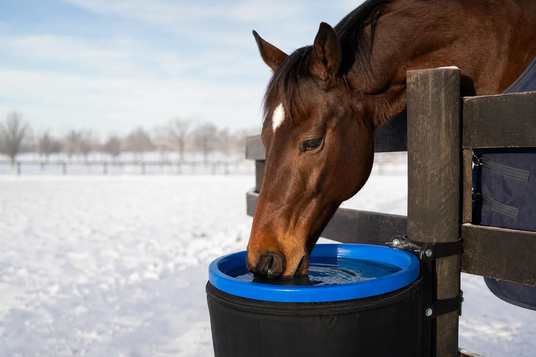 How to Use an Insulated Bucket Holder in Winter
