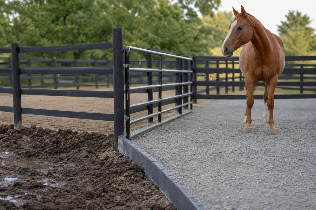 Fix a Muddy Horse Pen With Squeegee Rock