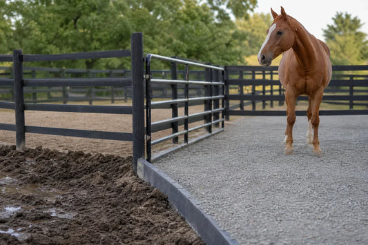 Fix a Muddy Horse Pen With Squeegee Rock