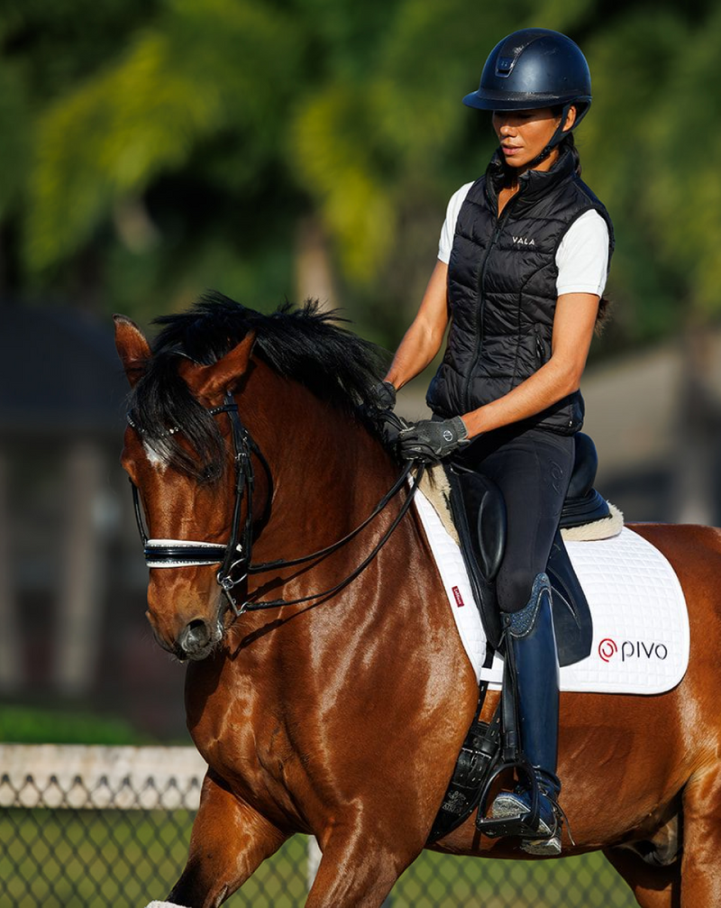 Cavalier travaillant un cheval bai équipé d'un tapis de selle de dressage Pivo blanc