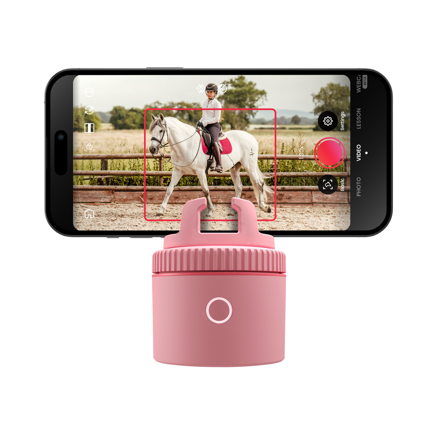 Pink / Equestrian Starter Pack | Pink / Equestrian Essential Pack | Pink / Equestrian Virtual Lesson Pack